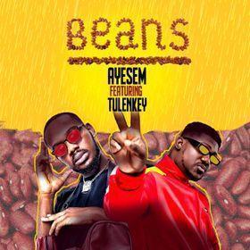 Ayesem – Beans Ft Tulenkey mp3 download. Ayesem ends the year 2021 on a high note with this new song titled Beans featuring Tulenkey. Check it out below, share and kindly add it to your favorite playlist.