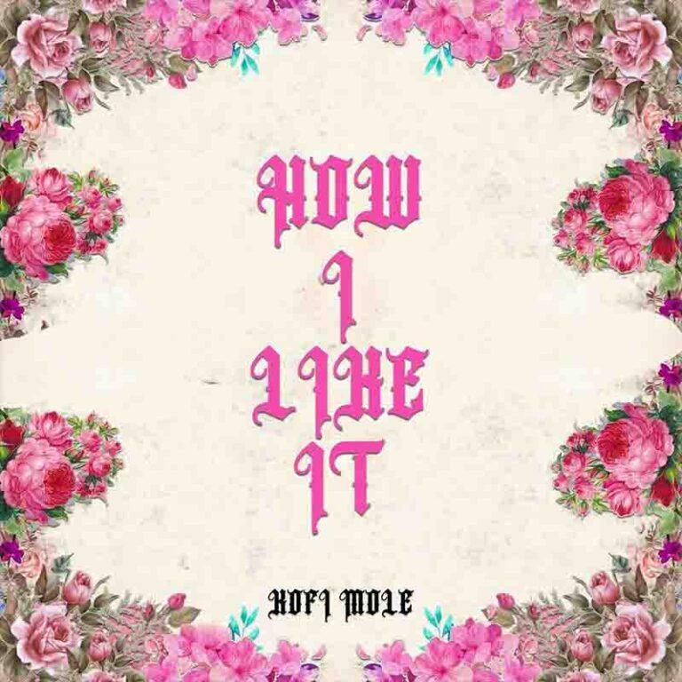 Kofi Mole - How I Like It Mp3 Download