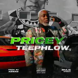 Teephlow - Pricey - Mp3 Download_ghnation.net
